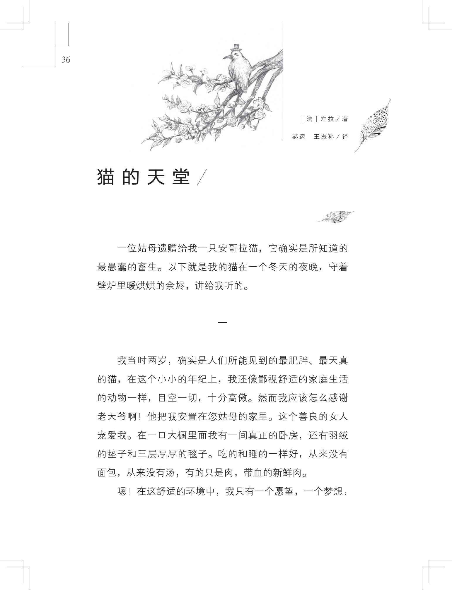 《做在大胡子里的鸟窝 》